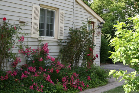 image 05